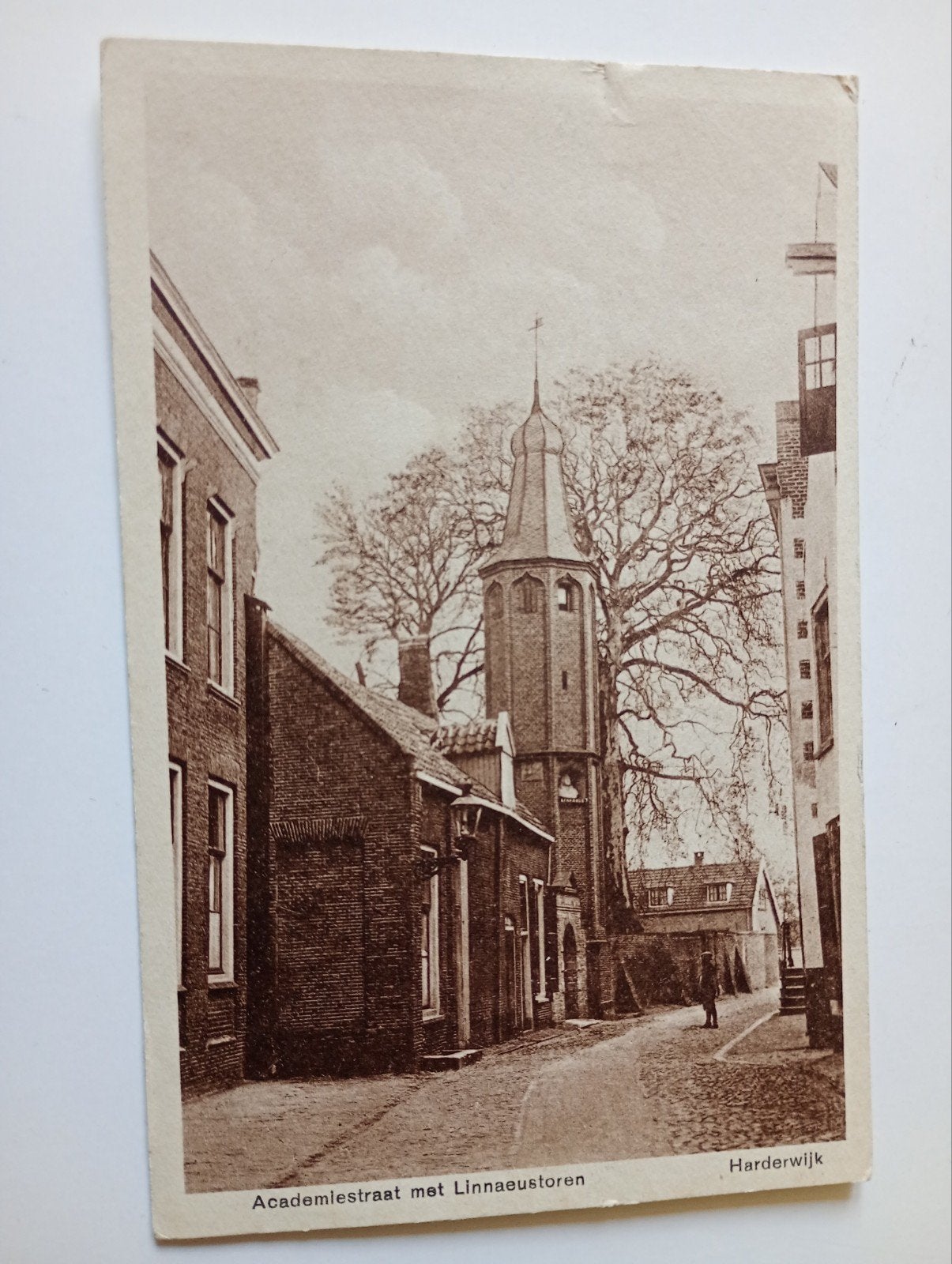 Harderwijk Academiestraat 1931, Verzamelen, Ansichtkaarten | Nederland, Ophalen of Verzenden, 1920 tot 1940, Gelopen, Gelderland