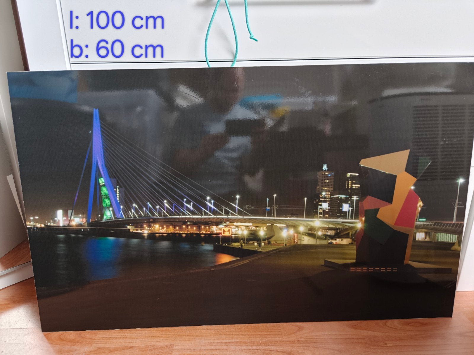 Erasmusbrug op plexiglas, Ophalen of Verzenden, Gebruikt