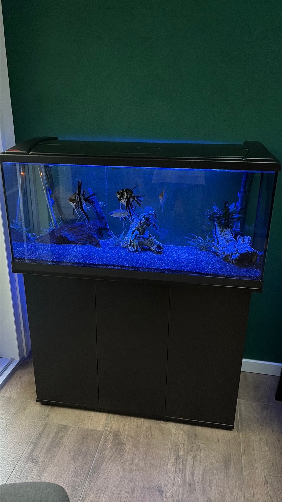 Eheim aquarium met toebehoren, Ophalen, Gebruikt, Overige typen, Eheim