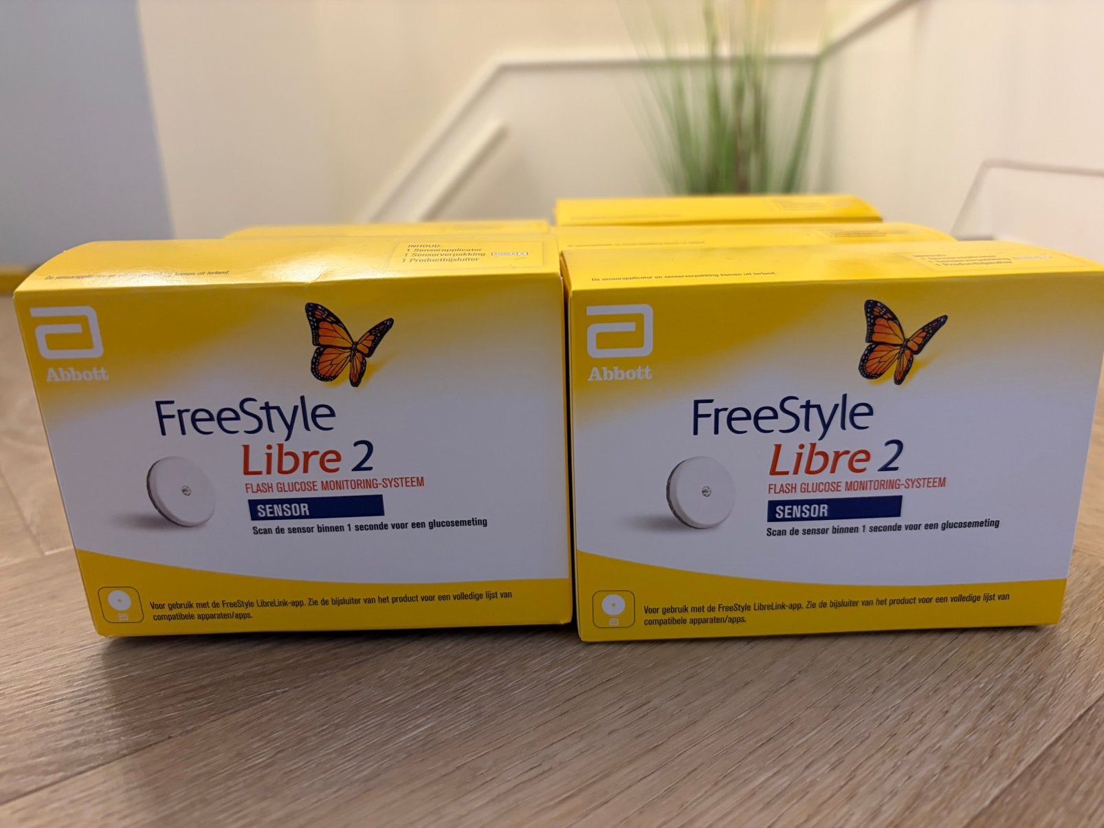 Freestyle libre 2 sensor, Diversen, Ophalen of Verzenden, Nieuw