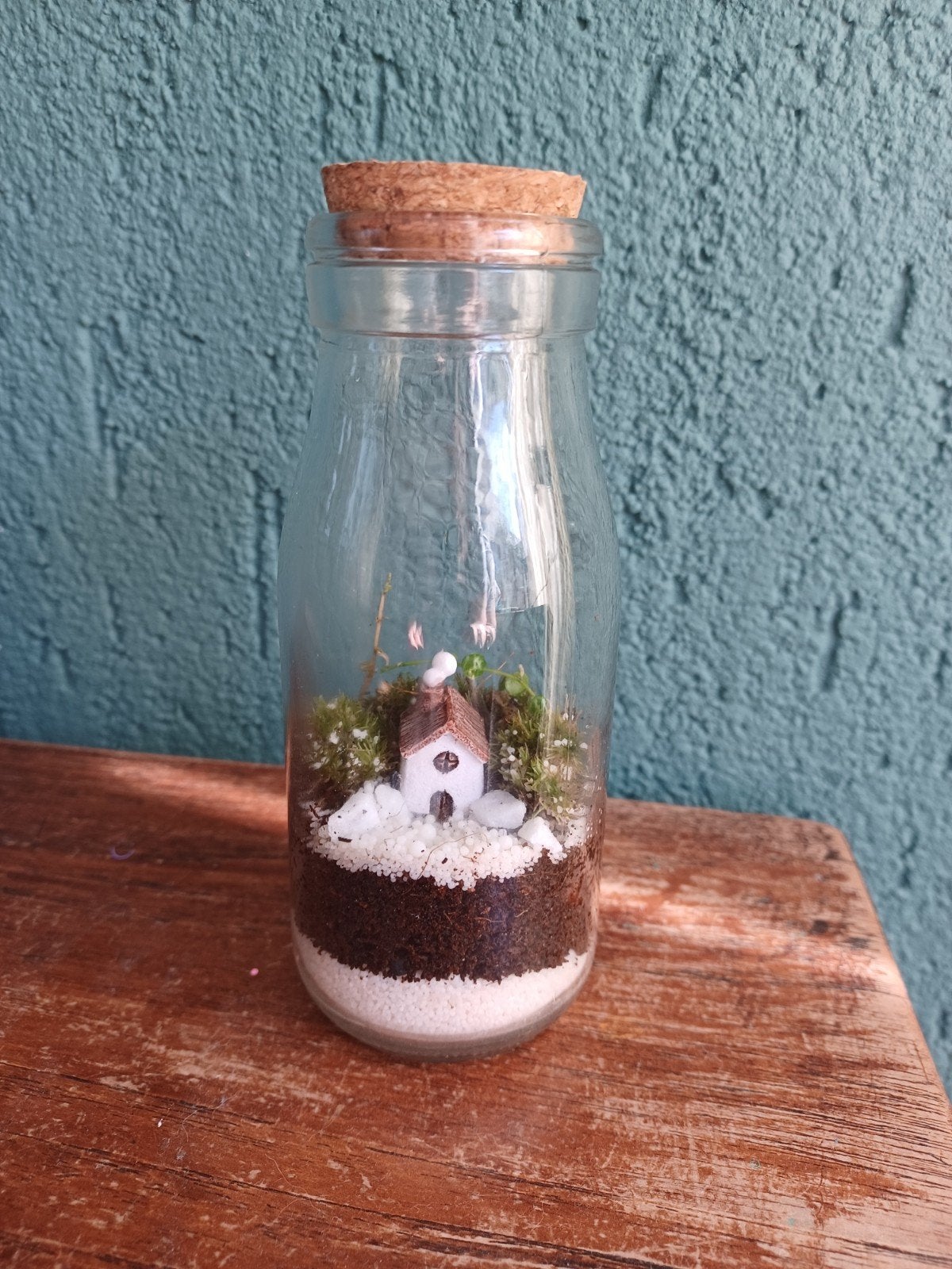 Terrarium met huisje en plantjes - Springstaartjes, Ophalen, Meerkleurig, Overige stijlen, Nieuw
