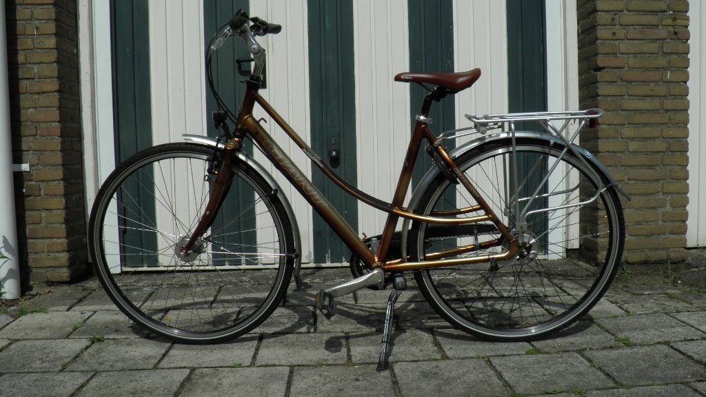 Giant Expert Coupe damesfiets, Fietsen en Brommers, Ophalen, Gebruikt, Velgrem, 47 tot 50 cm