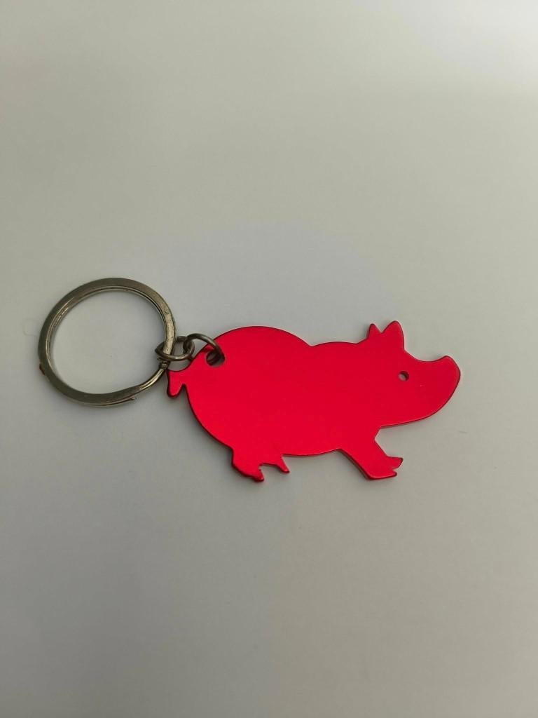 Varken sleutelhanger (rood), Ophalen of Verzenden, Nieuw, Dier of Natuur