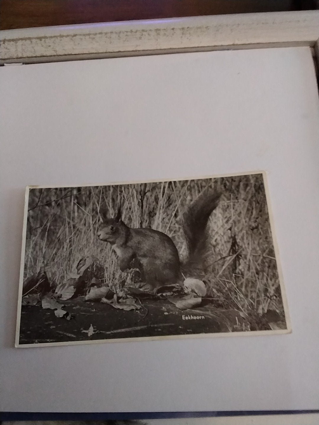 EEKHOORN. 1973, Ophalen of Verzenden, 1960 tot 1980, Overige thema's