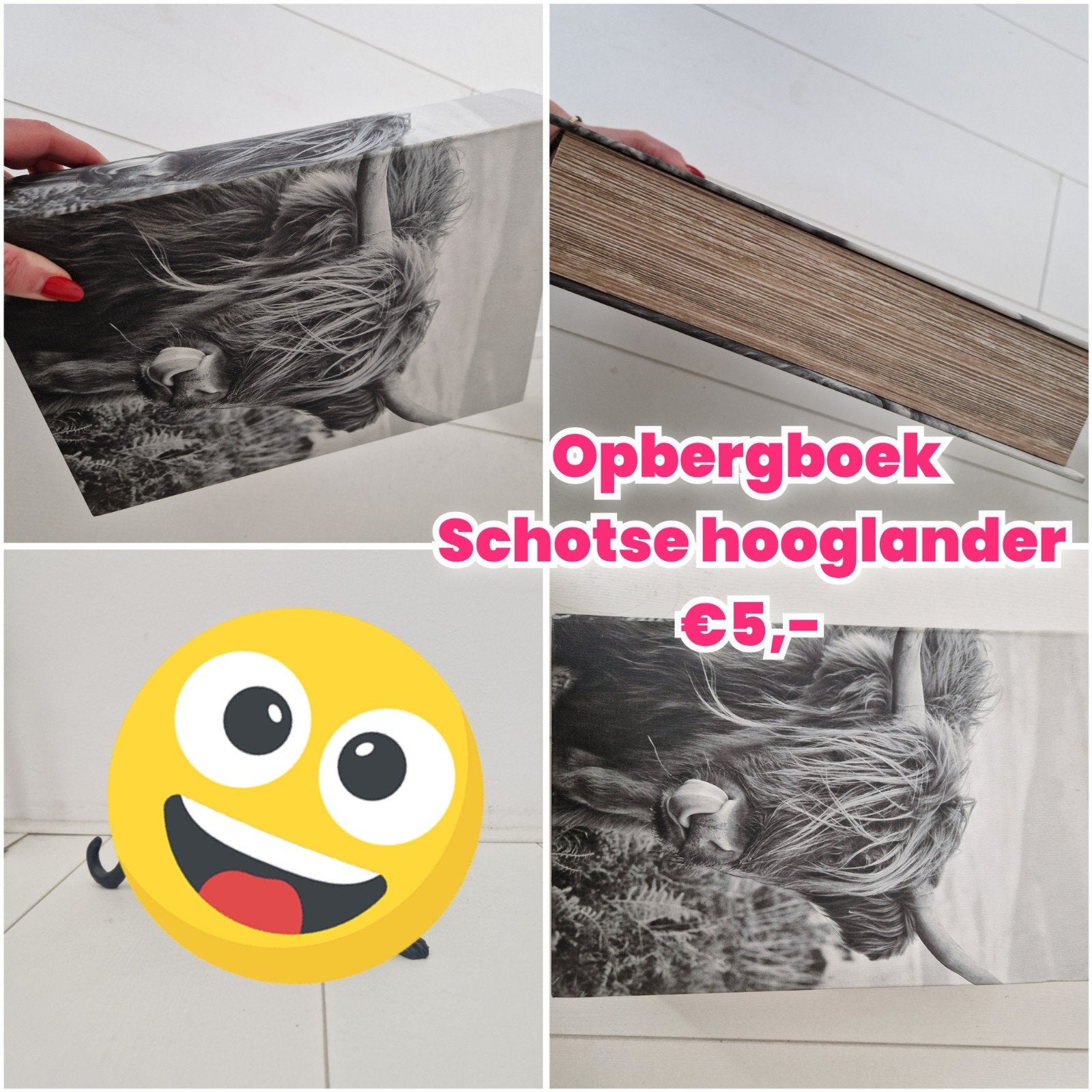 Opbergboek Schotse Hooglander, Ophalen of Verzenden, Landelijk, Papier/karton, Gebruikt