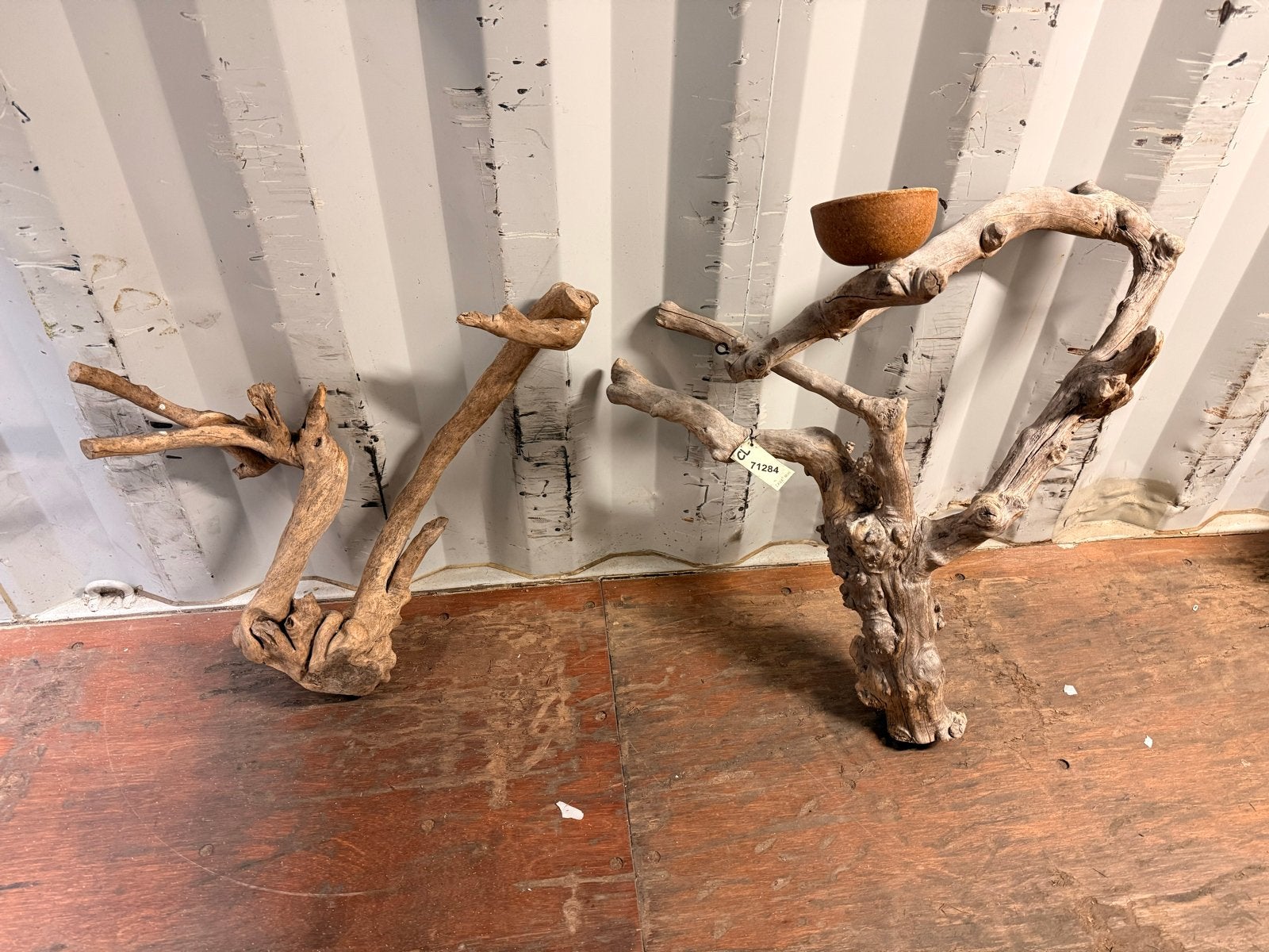 Papegaai klim boom/stok, Meerdere dieren, Papegaai
