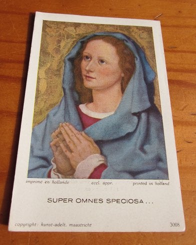 1954 prentje broeder gelofte god maria bid prent bidprentje, Verzamelen, Religie, Ophalen of Verzenden, Gebruikt, Kaart of Prent