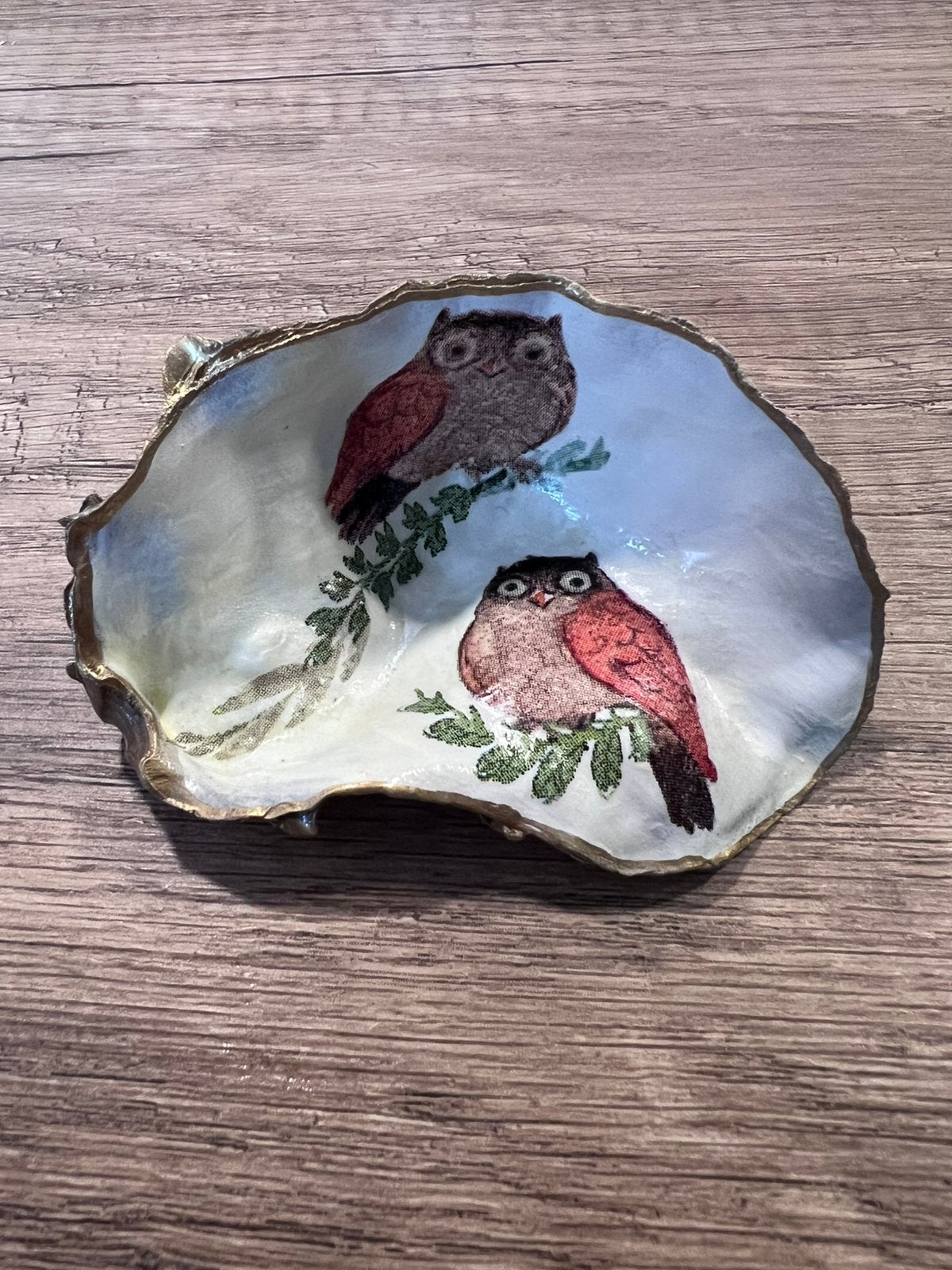 Oesterschelp met uiltjes, Verzamelen, Ophalen of Verzenden, Schelp(en)