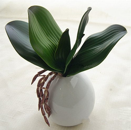 Kunst Phalaenopsis Orchidee / Nep Kunstplant Bloem Blad Sier, Verzenden, Nieuw, Kunstplant
