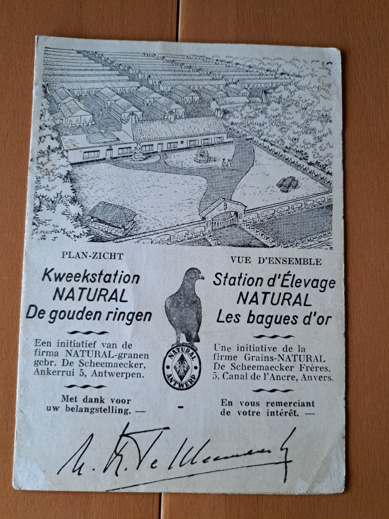 Snelheidkaart postduiven Natural, Ophalen of Verzenden