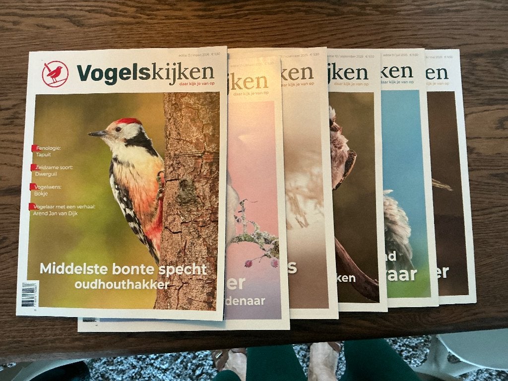 Jaargang tijdschrift Vogelskijken en 3 Roots vogelmagazine, Boeken, Ophalen of Verzenden