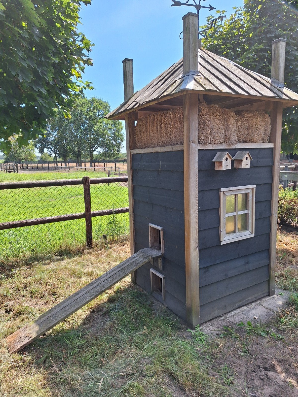 te koop kippen / konijnen hok, Ophalen, Kippenhok of Kippenren