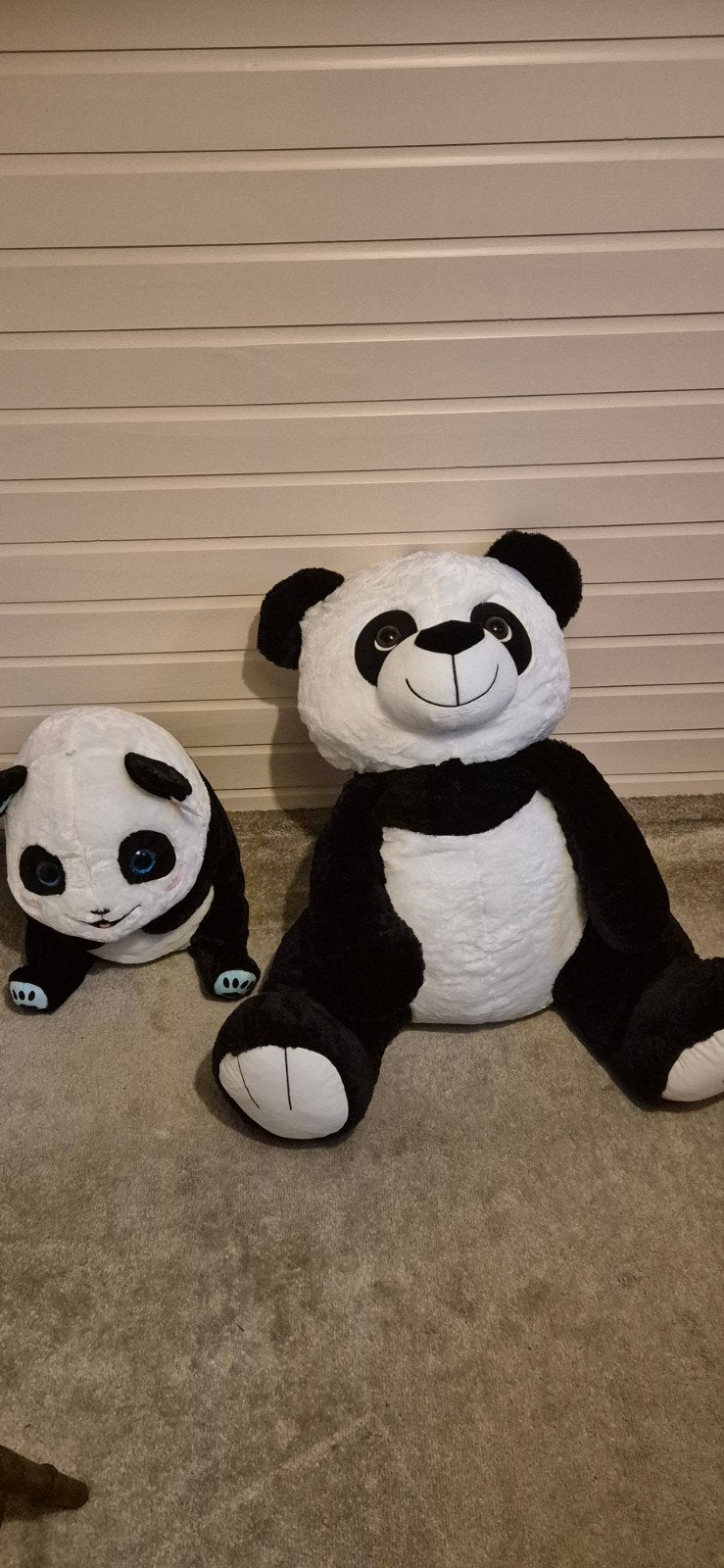 2 nieuwe pandaberen waarvan 1 XXL, Ophalen of Verzenden, Nieuw, Beer
