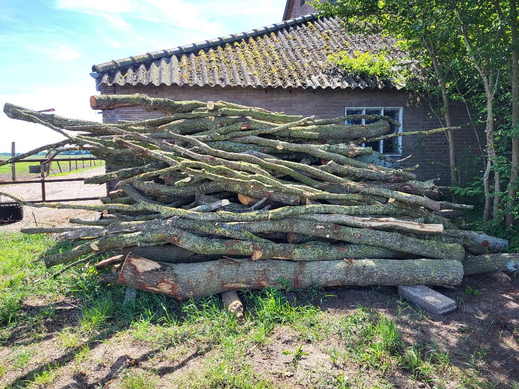 brandhout eiken, Tuin en Terras, Haardhout, 3 tot 6 m³, Ophalen, Eikenhout, Stammen