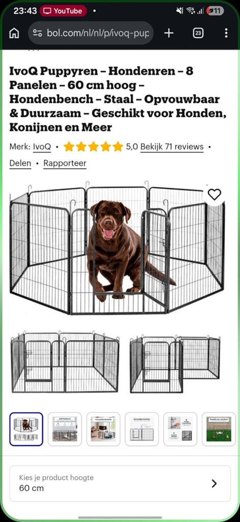 GEZOCHT!!!! Wij zoeken een puppy ren, Ophalen of Verzenden, Zo goed als nieuw, 110 cm of meer, Minder dan 65 cm