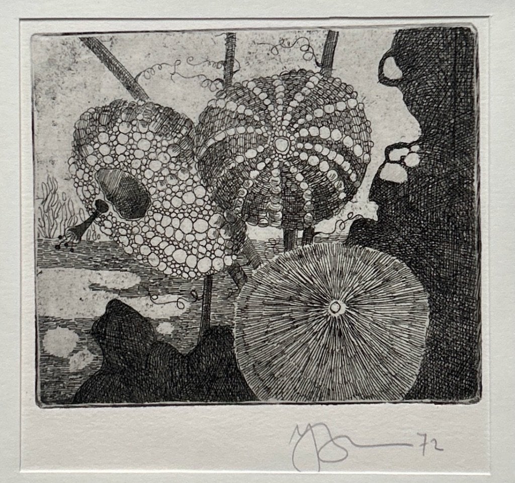 2 etsen Jan Bernard Meinen in passe partout  Zomeropruiming, Antiek en Kunst, Kunst | Litho's en Zeefdrukken, Verzenden