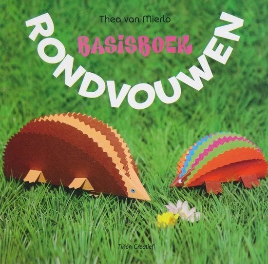 bssisboek Rondvouwen creatief, Ophalen of Verzenden, Nieuw