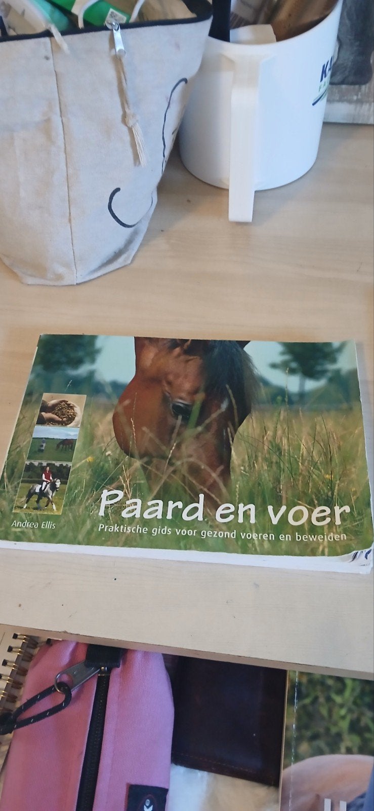 Boek Paard en Voer, Boeken, Ophalen of Verzenden, Gelezen, Overige onderwerpen, Andrea Ellis