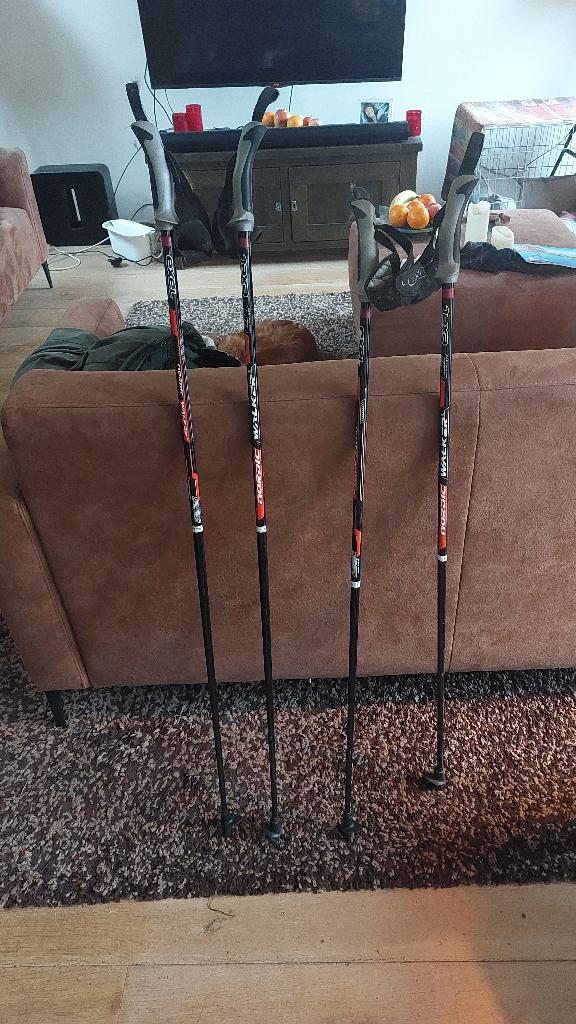 Nordic Walking stokken, Ophalen of Verzenden, Gebruikt