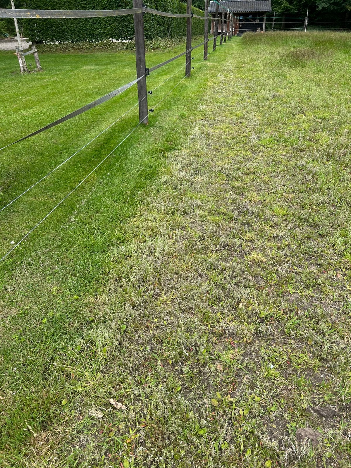 Aangeboden weiland om schapen te weiden.