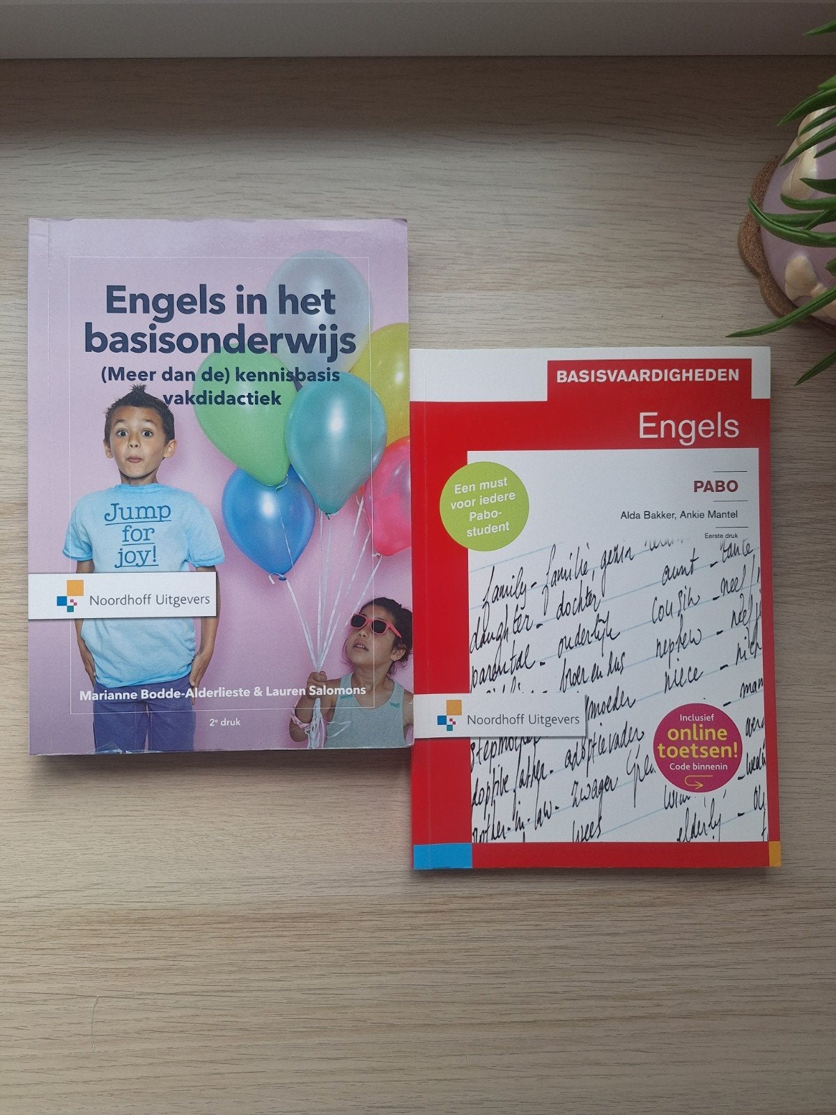 Pabo boeken Engels, Ophalen of Verzenden, Overige niveaus, Engels