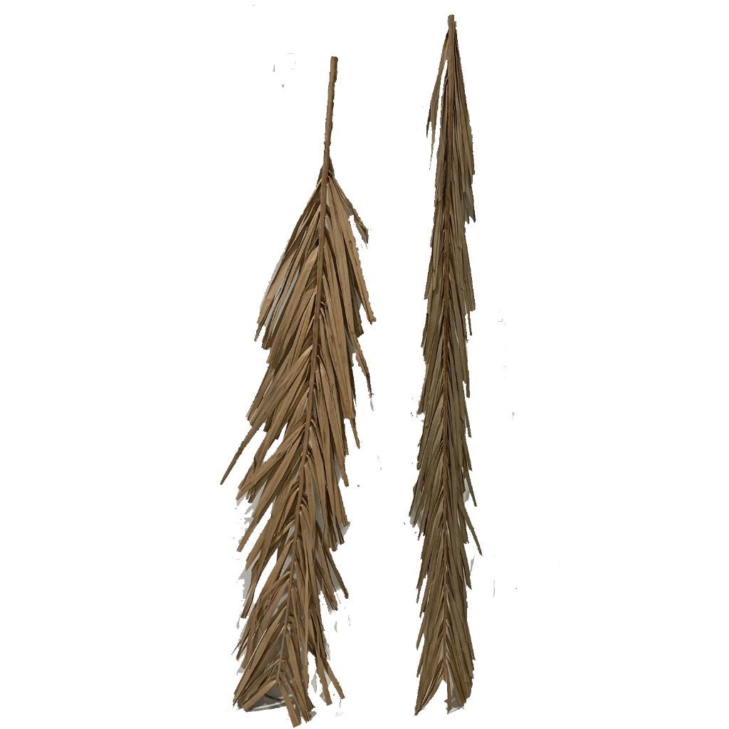 Twee decoratieve gedroogde PALM takken bohemian style 1 m., Ophalen, Zo goed als nieuw, X, X