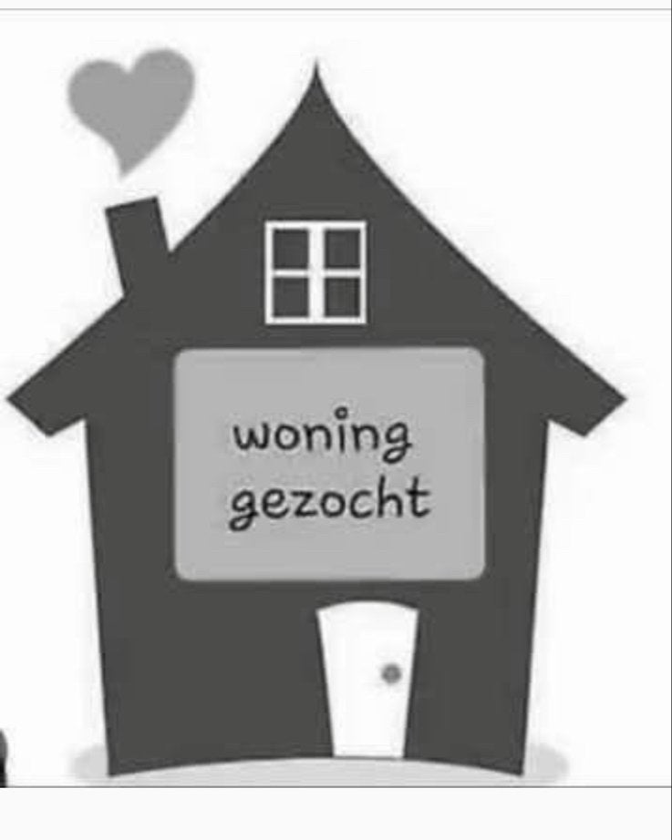Kamer gezocht!, Huizen en Kamers