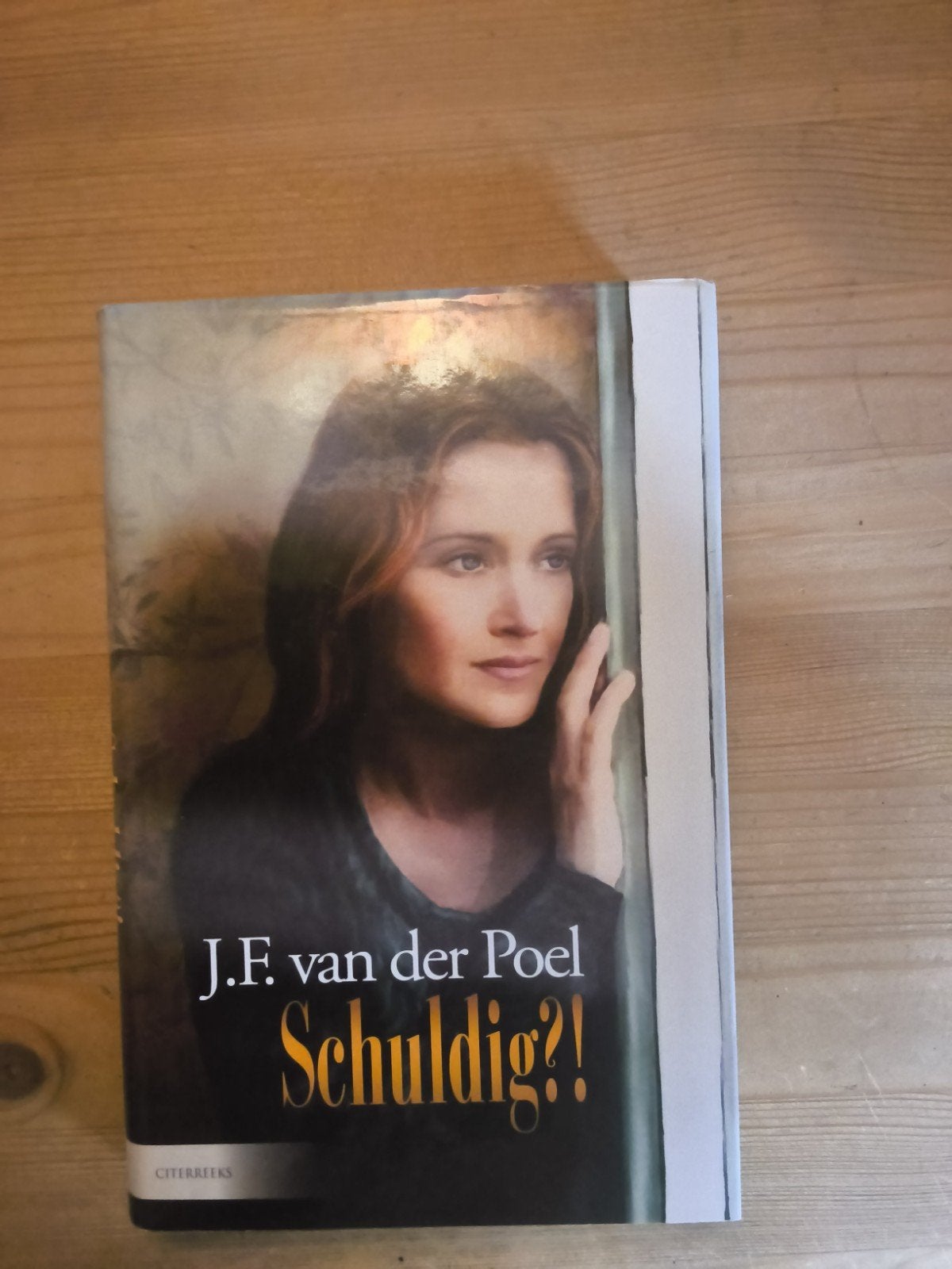 Schuldig?! - J.F. van der Poel (Citerreeks), Ophalen of Verzenden, Zo goed als nieuw, J.F. van der Poel