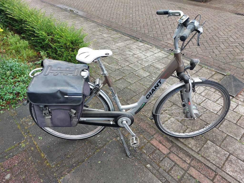 Giant twist go double, Fietsen en Brommers, Elektrische fietsen, Ophalen, Gebruikt, Minder dan 30 km per accu, Overige merken