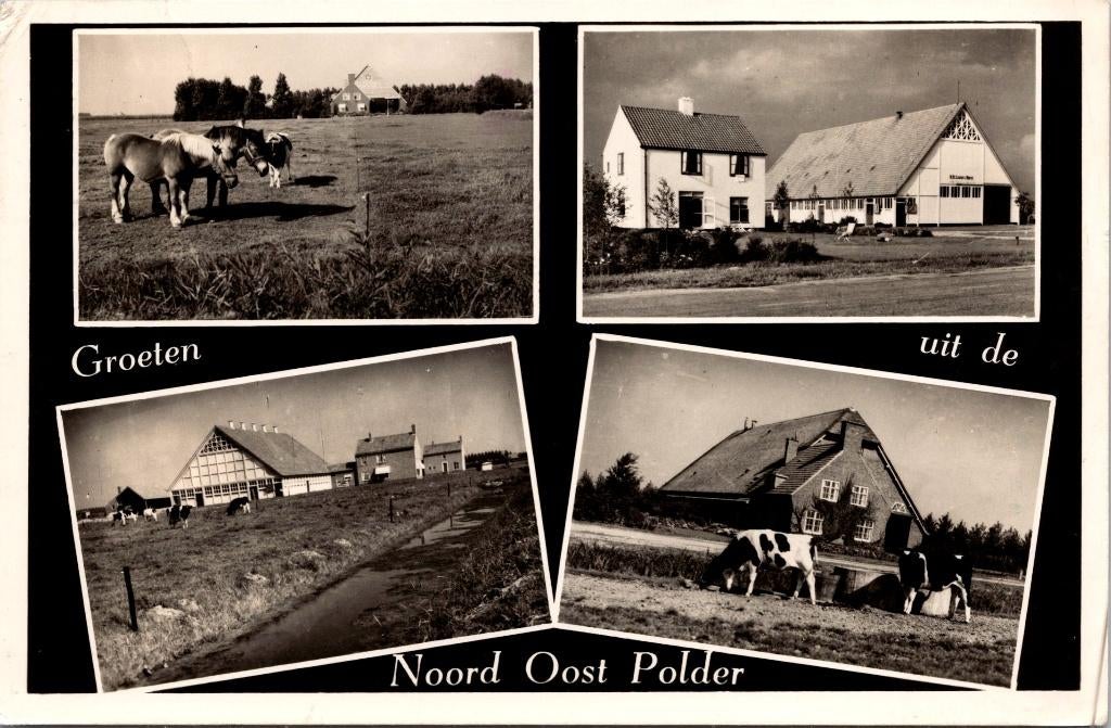 Groeten uit de Noordoostpolder - 3 ansichtkaarten, Verzamelen, Verzenden, 1940 tot 1960, Gelopen, Flevoland