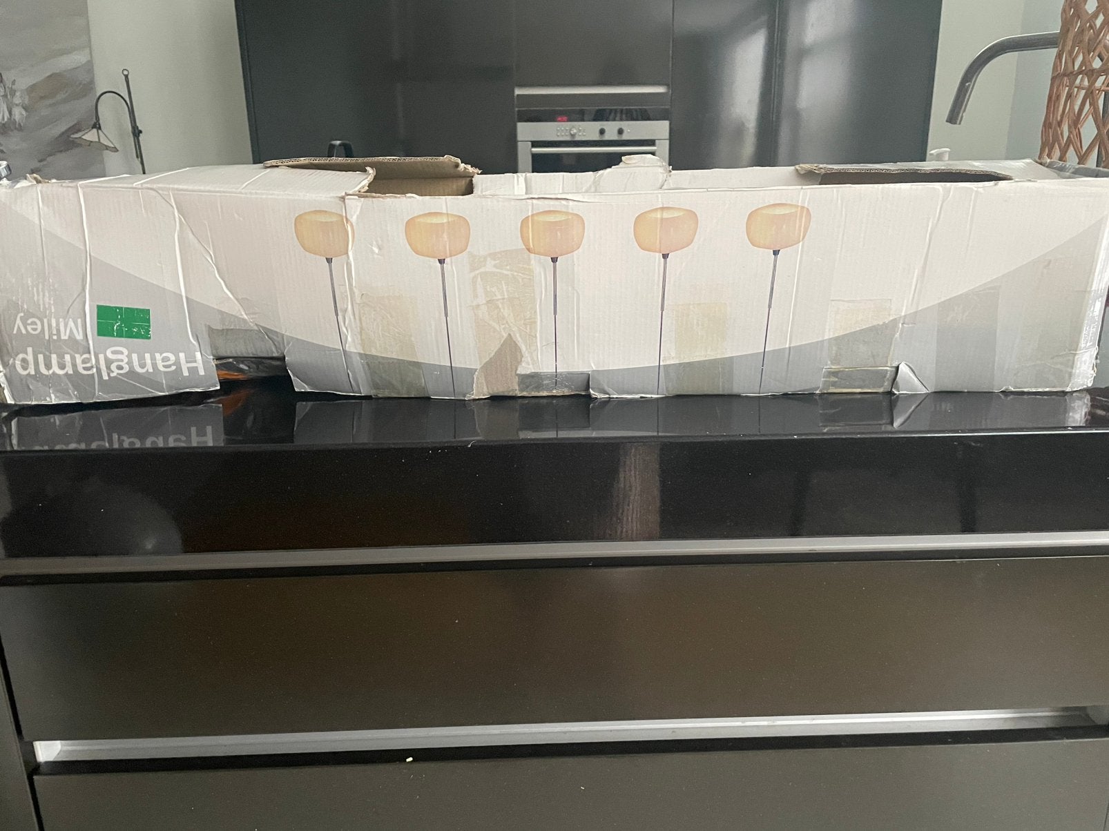 Nieuwe mooie hanglamp, Huis en Inrichting, Lampen | Hanglampen, Ophalen of Verzenden, Nieuw