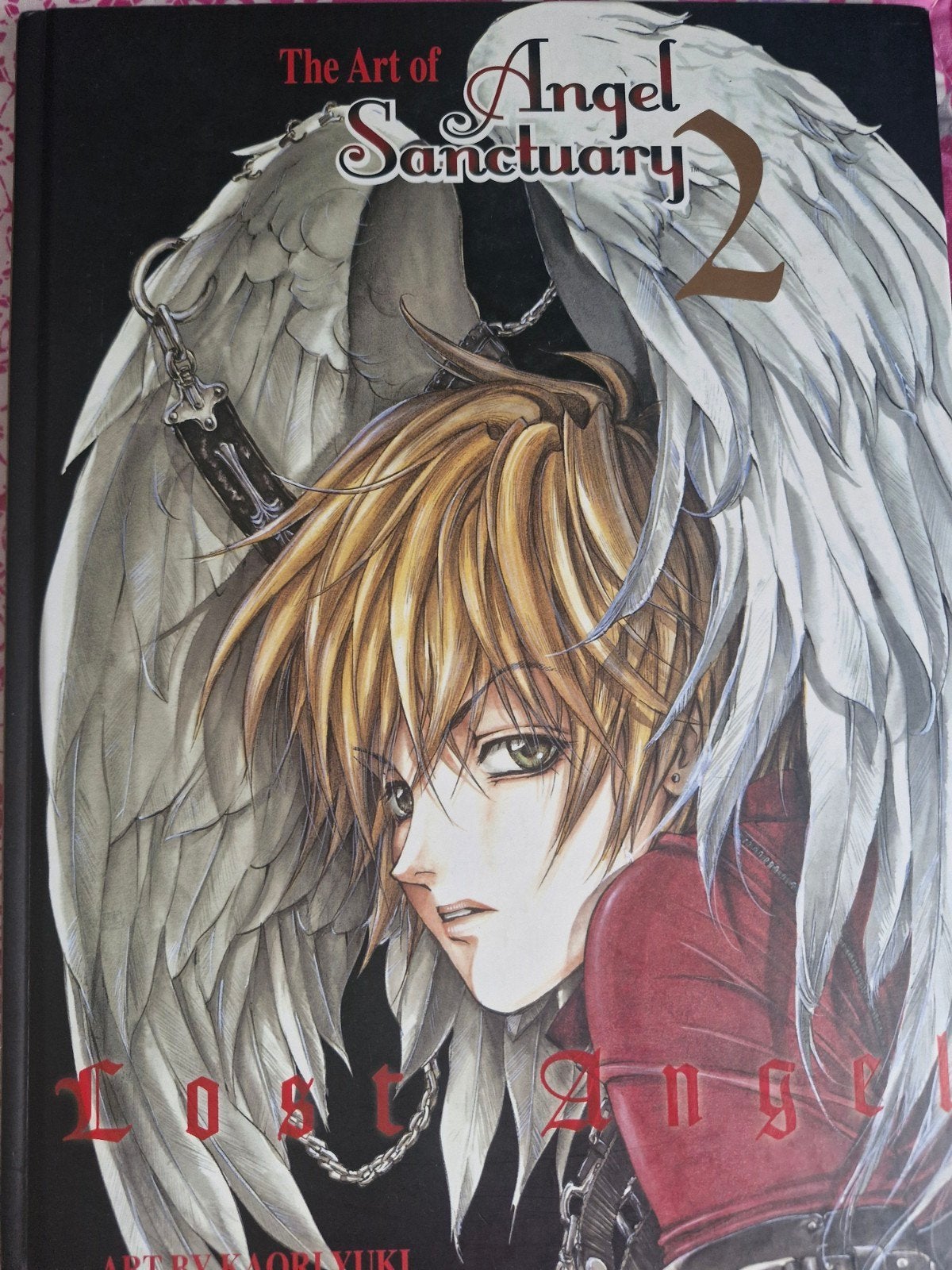 Angel Sanctuary anime/manga boek, Ophalen of Verzenden, Zo goed als nieuw, Tv-serie