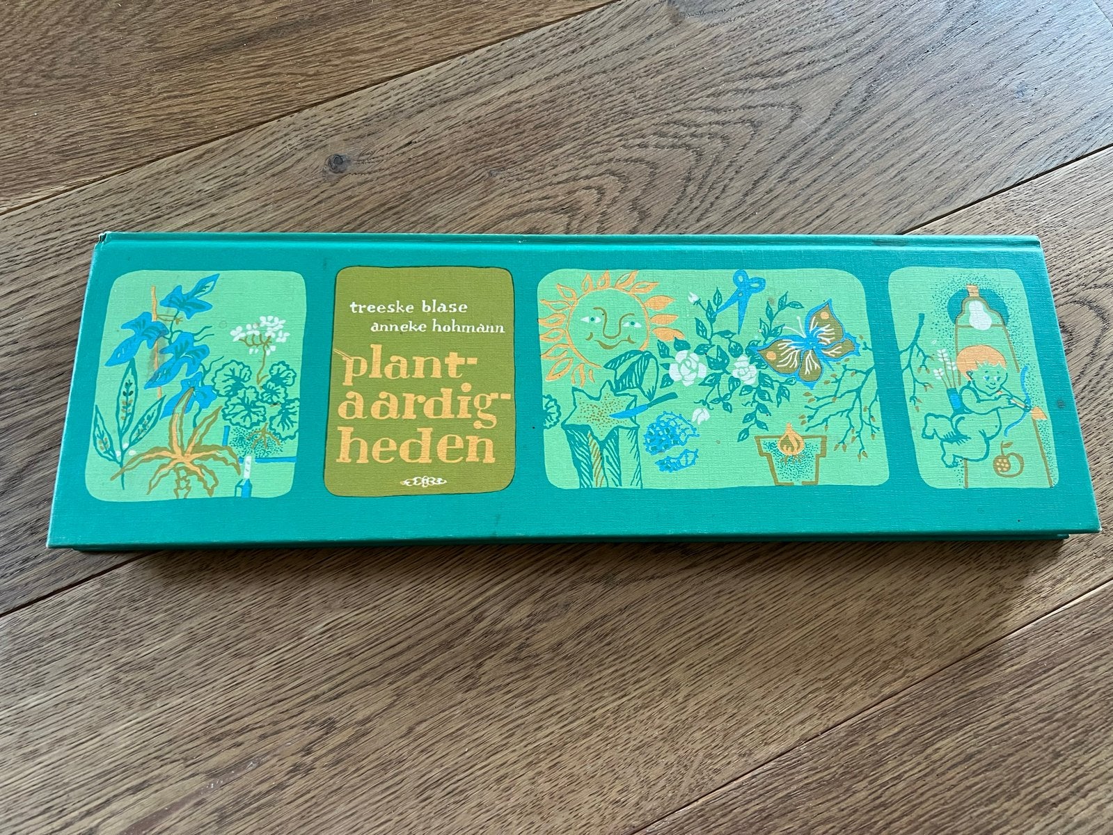 Plant-aardigheden - Treeske Blase & Anneke Hohmann, Boeken, Ophalen of Verzenden, Zo goed als nieuw, Bloemen, Planten en Bomen
