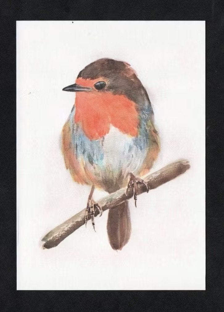 Ansichtkaart Roodborstje Erithacus Rubecula, Ellen Draaisma, Ophalen of Verzenden, 1980 tot heden, Ongelopen, Vogel
