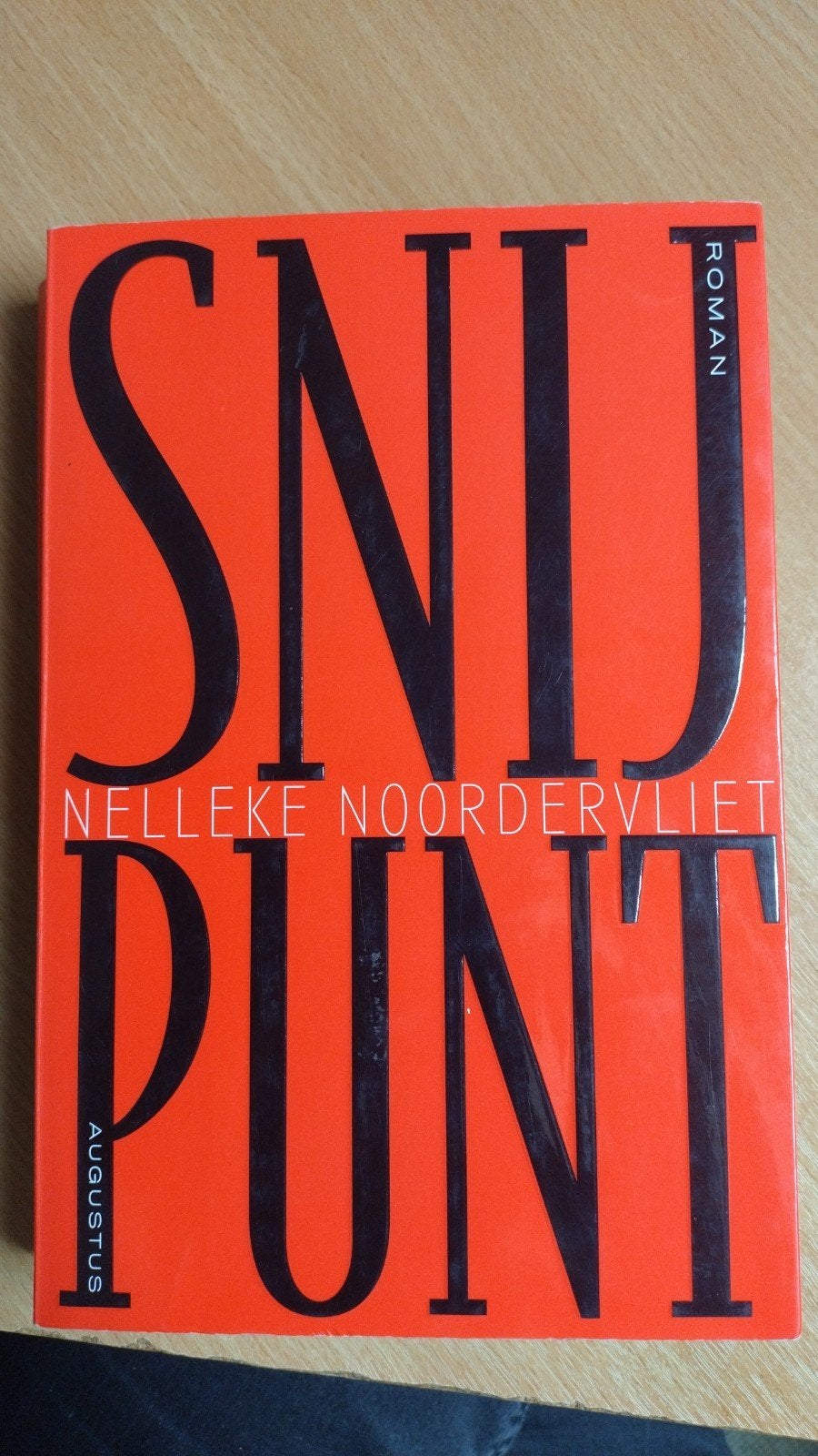 Snijpunt - Nelleke Noordervliet (Roman), Ophalen of Verzenden, Gelezen, Nelleke Noordervliet, Nederland
