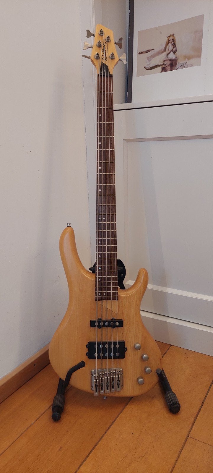 Washburn RB-2502 5-string, Ophalen, Zo goed als nieuw, Elektrisch, 5-snarig