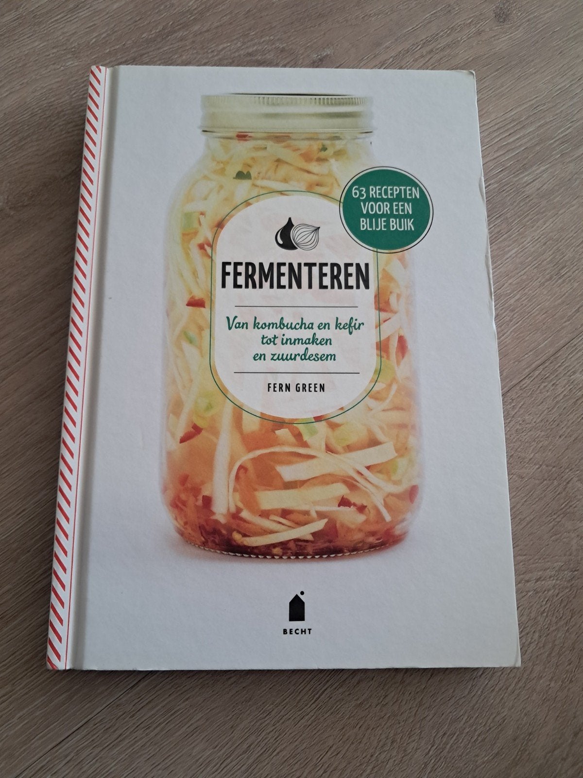 Fermenteren: Van kombucha en kefir tot zuurdesem, Fern Green, Overige typen, Ophalen of Verzenden, Zo goed als nieuw