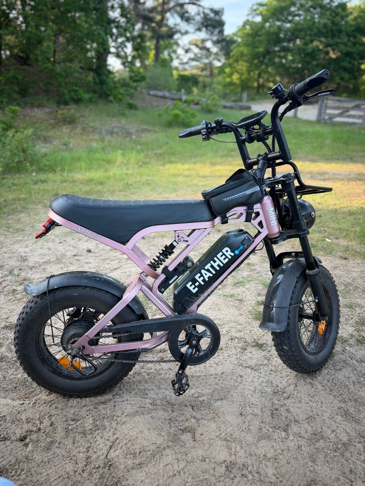 Fatbike v20 mini pro, Zo goed als nieuw, Minder dan 47 cm, 50 km per accu of meer, Ophalen