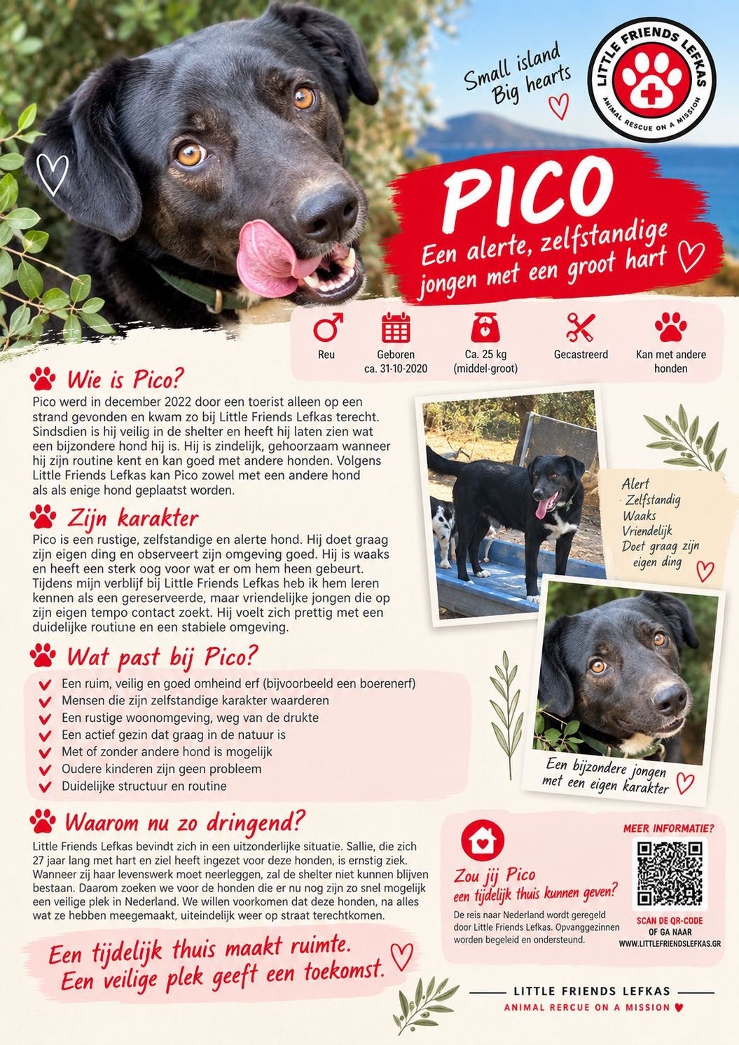 FOSTERGEZIN GEZOCHT VOOR PICO, Overige vormen, Overige uren, Vanaf 3 jaar, MBO