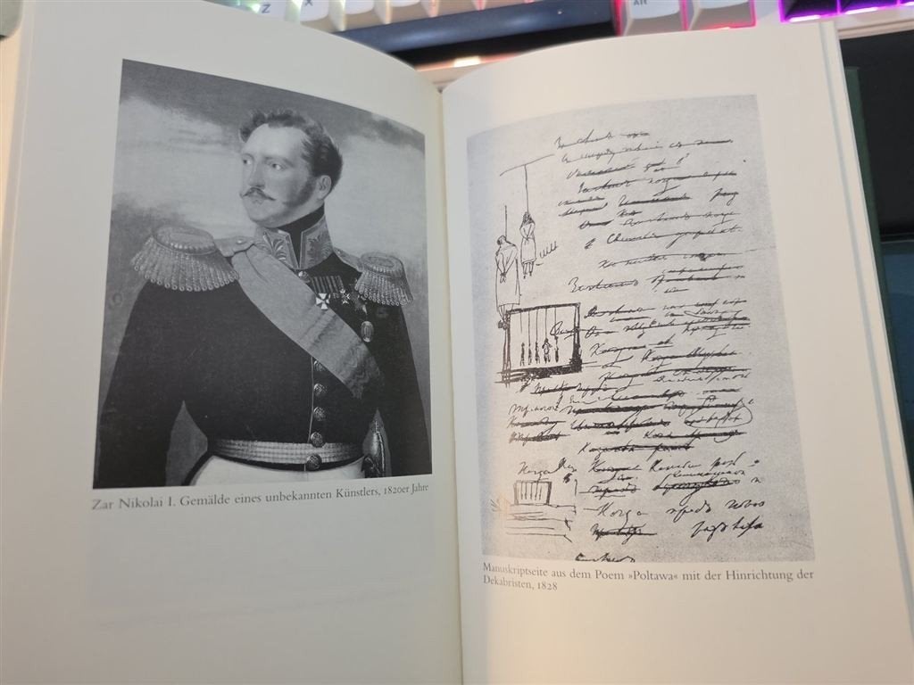 Puschkin, ein Dichterleben — Biografie Russische Dichter, Ophalen of Verzenden, Zo goed als nieuw