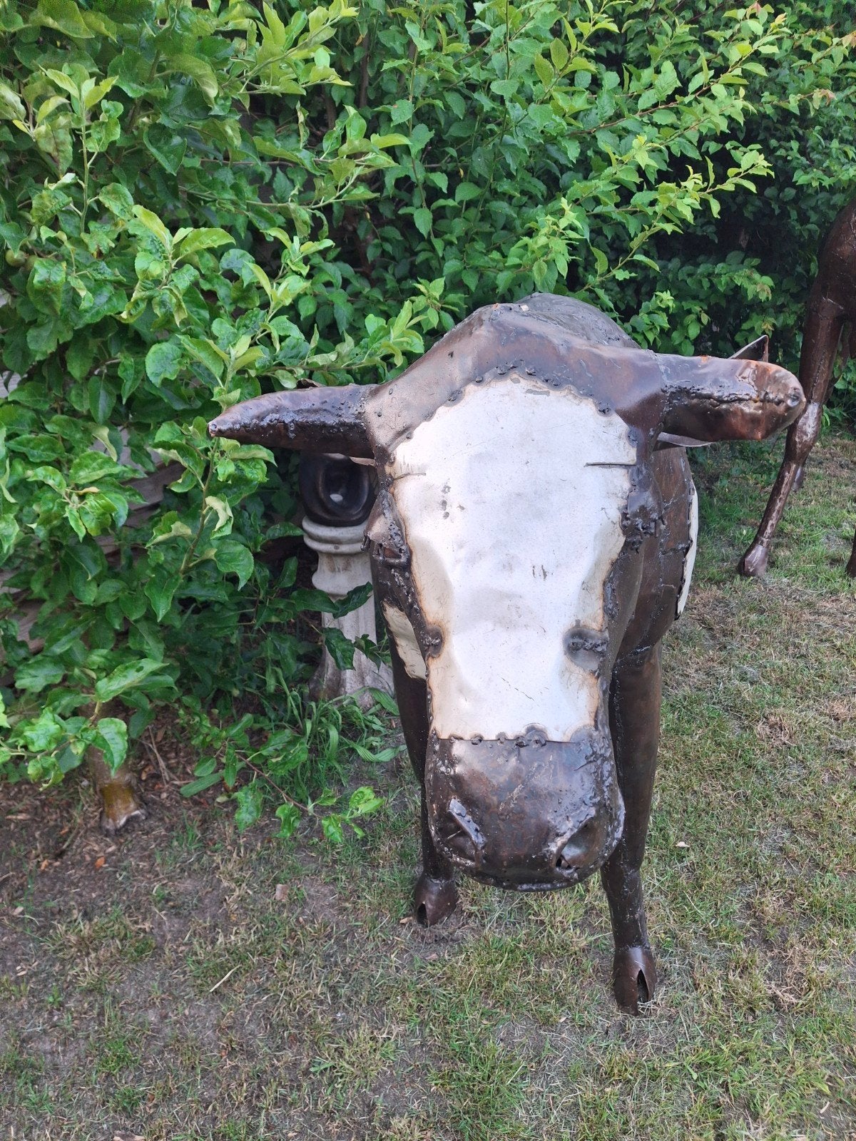 Unieke metalen koe sculptuur van hergebruikt metaal, Ophalen