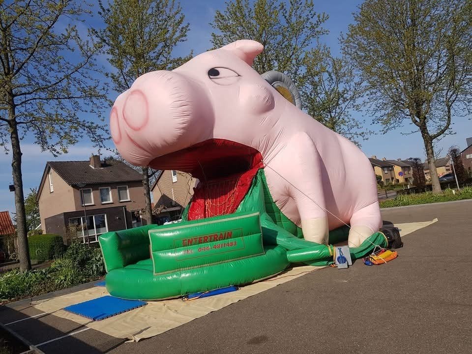 Springkussen Varken met glijbaan te koop, Ophalen