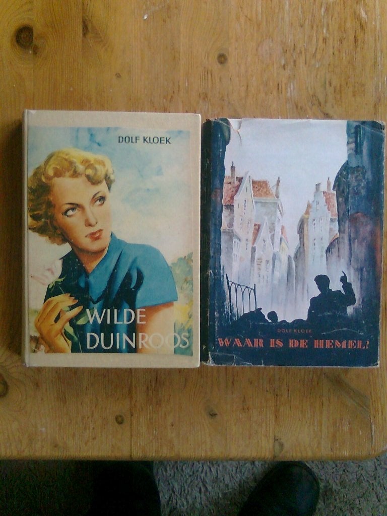 Wilde Duinroos, en andere romans van Dolf Kloek, Boeken, Ophalen of Verzenden, Gelezen