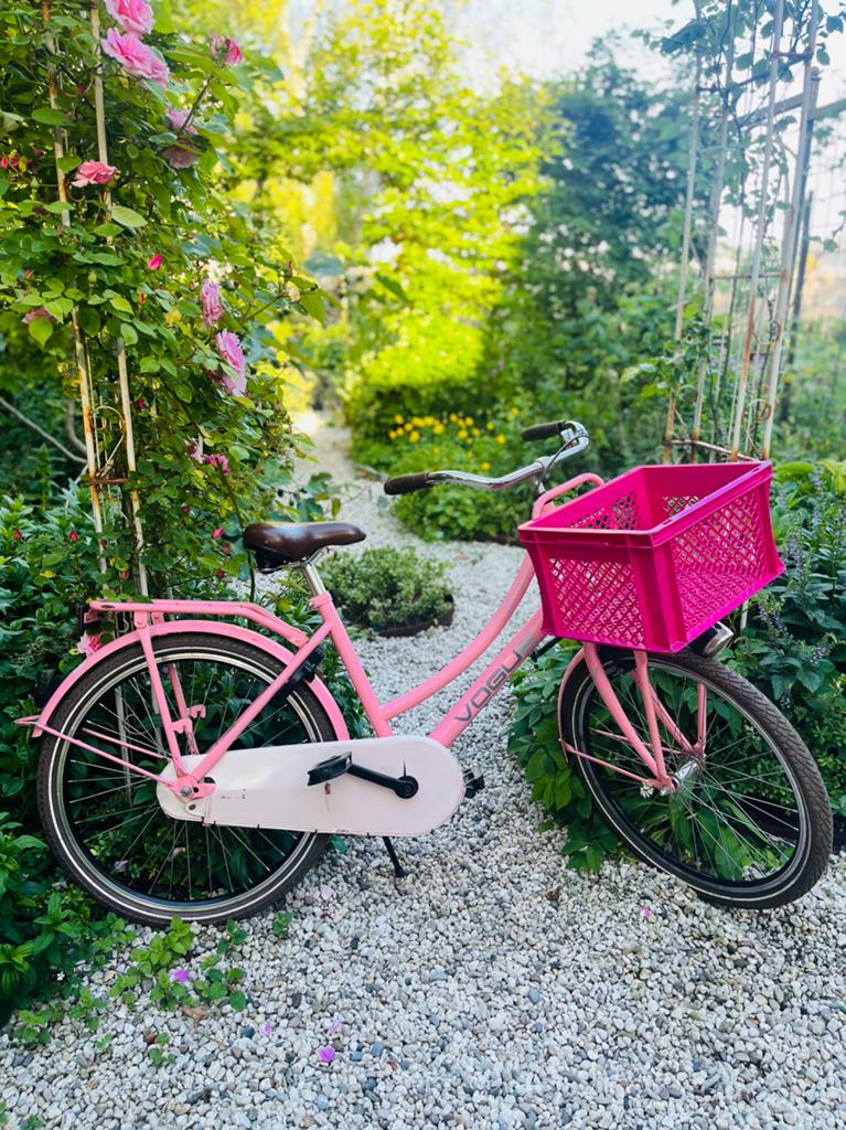 Meisjesfiets roze 24 inch, Ophalen, Terugtraprem, Handrem, Gebruikt