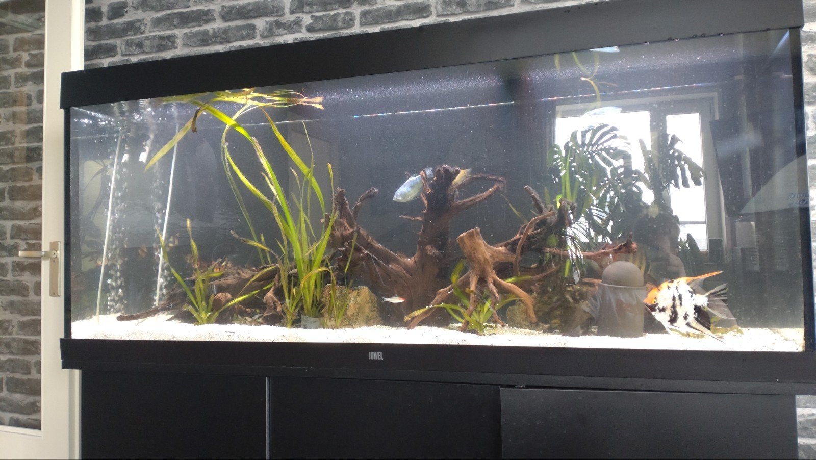 Juwel rio 450 helialux spectrum oase 600, Dieren en Toebehoren, Ophalen, Zo goed als nieuw, Verlichting of Verwarming