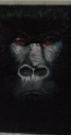 Gorilla, Ophalen