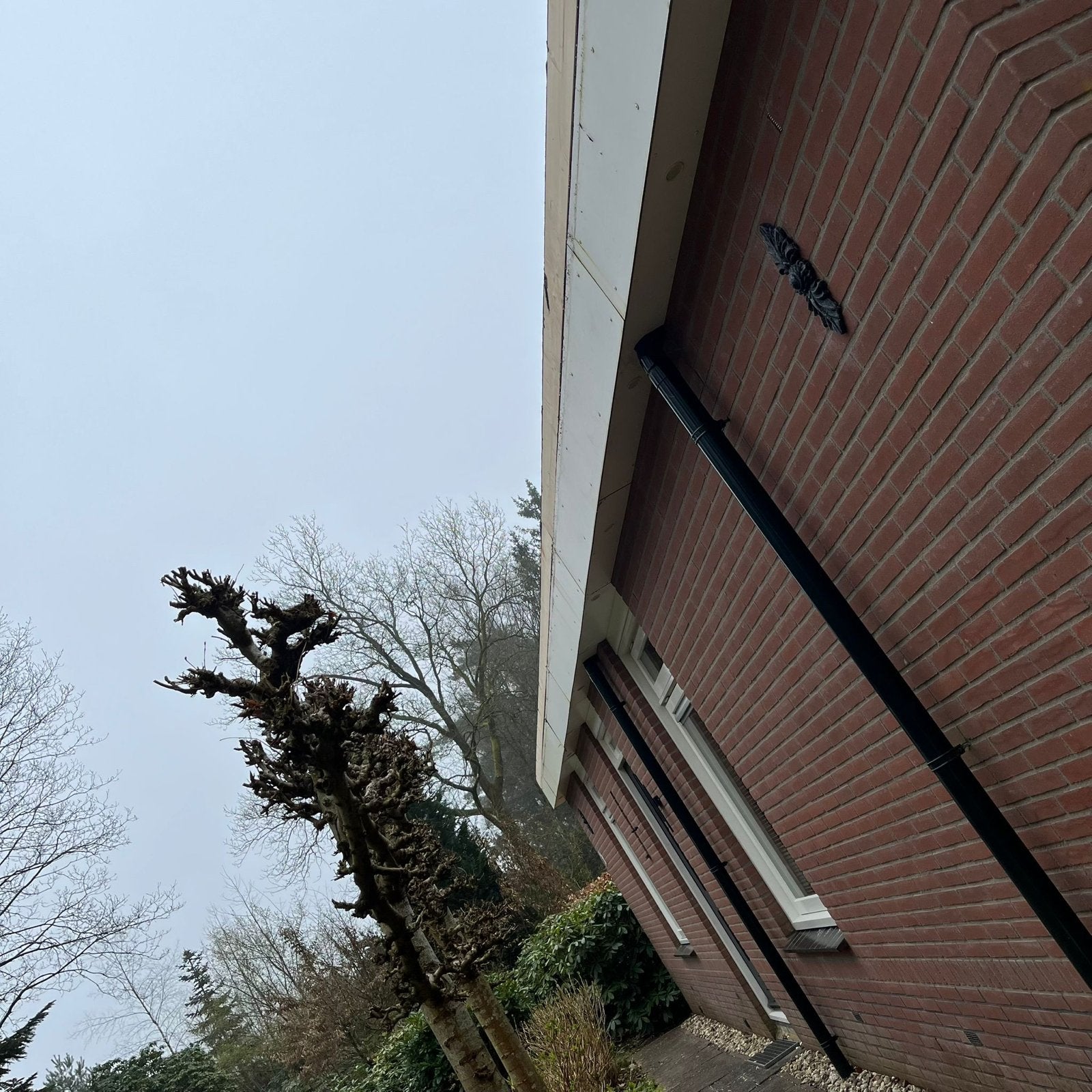 Trespa platen op maat - Diverse kleuren en diktes, Doe-het-zelf en Verbouw, Platen en Panelen, Ophalen of Verzenden, Nieuw, HPL