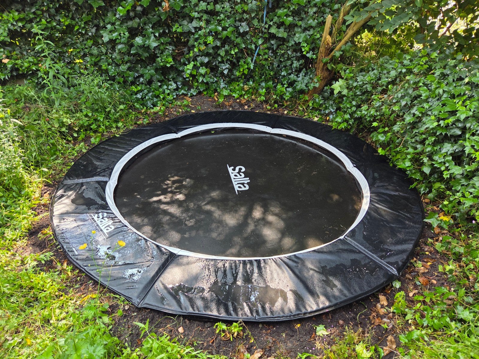 Salta Trampoline Royal Baseground 251 cm - Zwart, Ophalen, Gebruikt