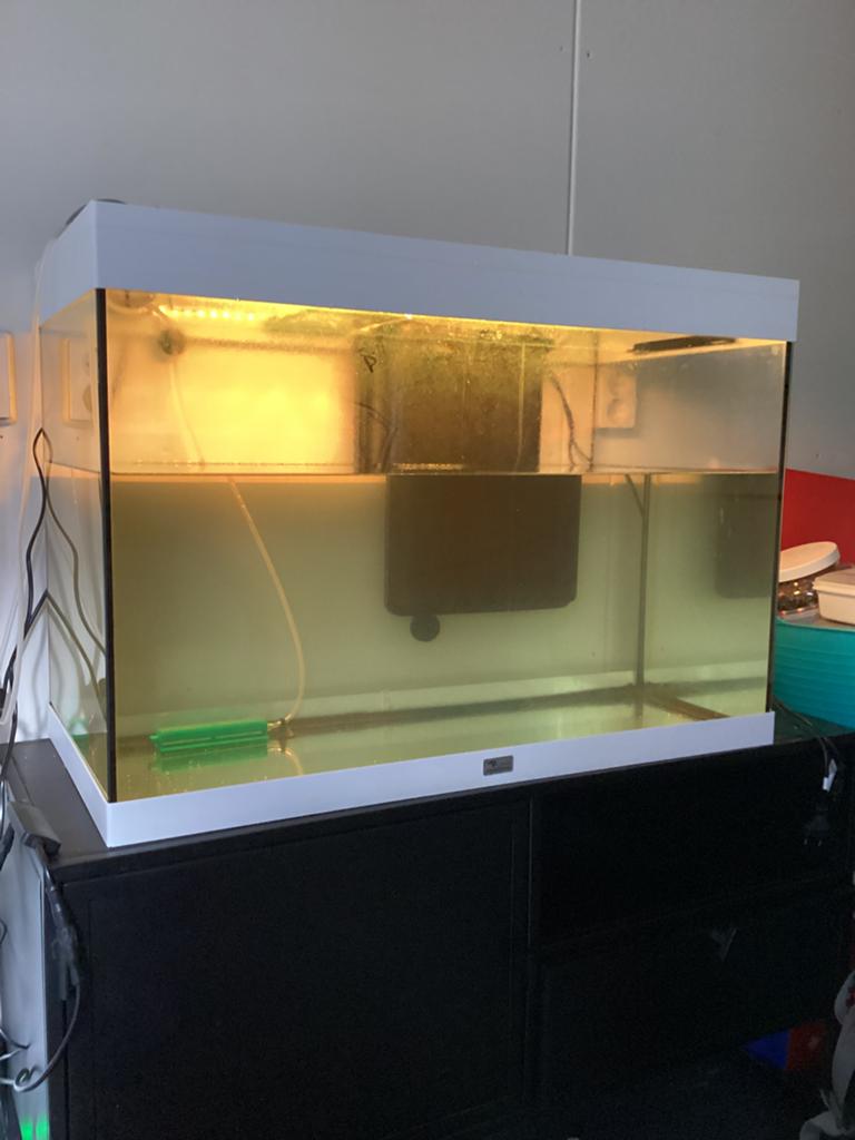 Aqualantis splendid 80 aquarium (140 liter), Dieren en Toebehoren, Ophalen of Verzenden, Zo goed als nieuw, Leeg aquarium
