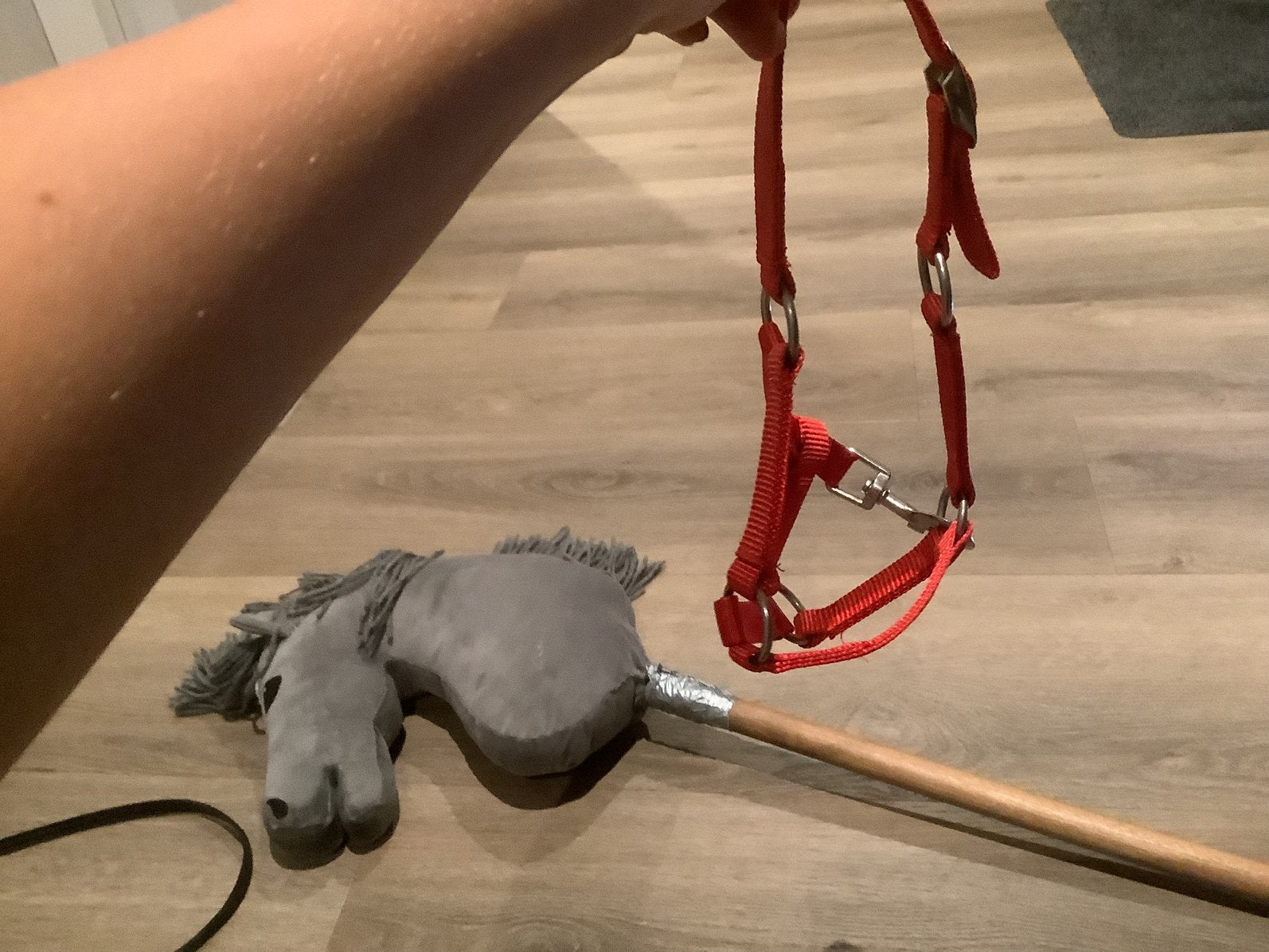 Halster voor een hobby horse, Ophalen, Zo goed als nieuw